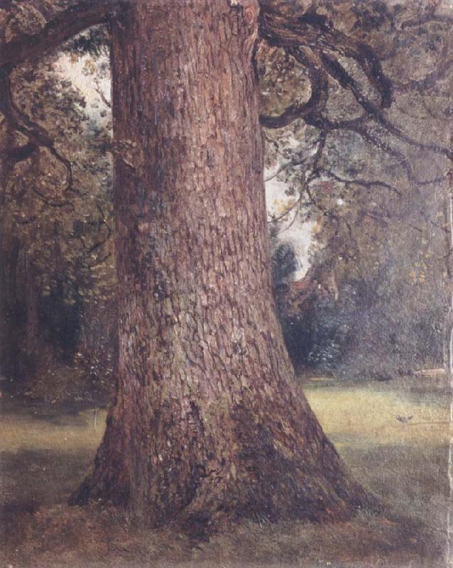 John Constable Study of the trunk of an elm tree China oil painting art